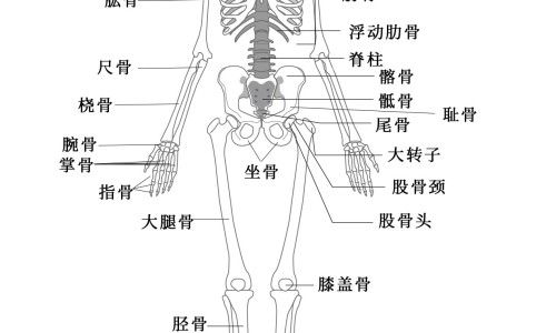 冠心病患者能吃些什么有营养的食物-【冠心病患者可以吃什么保健品】冠心病人吃什么保健品好 - 冠心病人可以吃什么保健品网